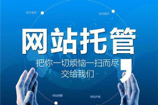 仲愷企業(yè)網(wǎng)站開發(fā)設(shè)計公司 打造高端營銷型網(wǎng)站建設(shè)品牌，助力企業(yè)營銷策劃升級